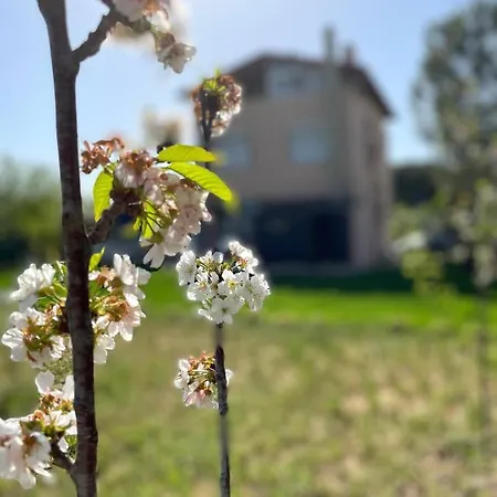 Villa Umay Resting House Guzelbahce